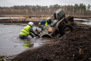 Гаплик (259).jpg Гаплик (259).jpg