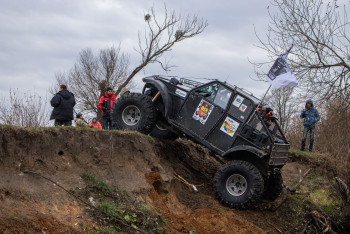 Гаплик (206) Гаплик (206)