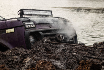 Гаплик (115) Гаплик (115)