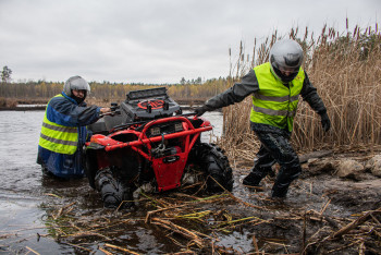 Гаплик (253).jpg Гаплик (253).jpg