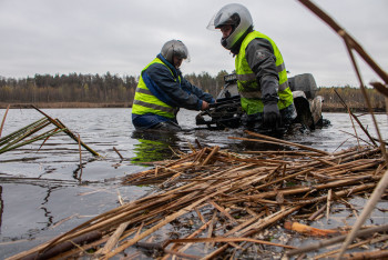 Гаплик (263).jpg Гаплик (263).jpg