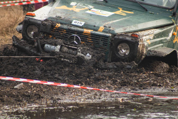 Гаплик (101) Гаплик (101)