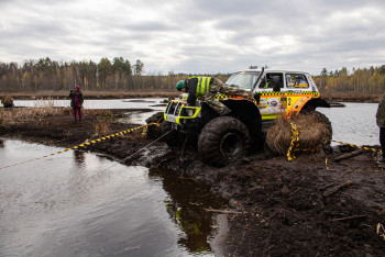 Гаплик (166) Гаплик (166)