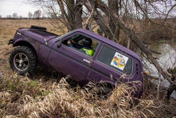 Гаплик (182) Гаплик (182)