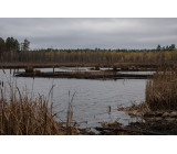 Гаплик (267).jpg