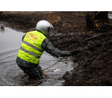 Гаплик (257).jpg