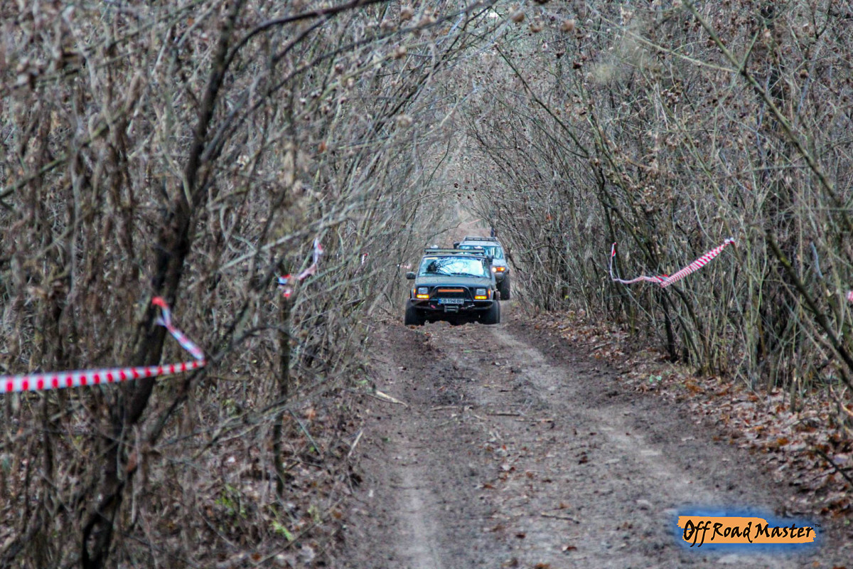 81680259 3054119591265223 7422283574360932352 O (1)