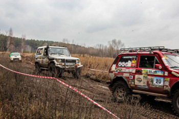 82041513 3054118441265338 8495792439334797312 O 82041513 3054118441265338 8495792439334797312 O