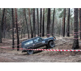 82524568 3054119481265234 1705072415597395968 O