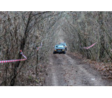 81680259 3054119591265223 7422283574360932352 O (1)