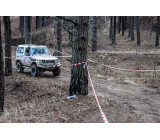 81730105 3054118674598648 1896031609379880960 O