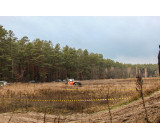 81961204 3054117981265384 3428271001933185024 O