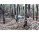 83026436 3054119817931867 3438607085544144896 O