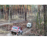 82080756 3054119851265197 4038677831419428864 O