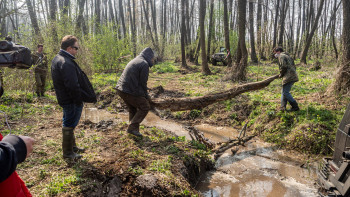 P4180139.jpg P4180139.jpg