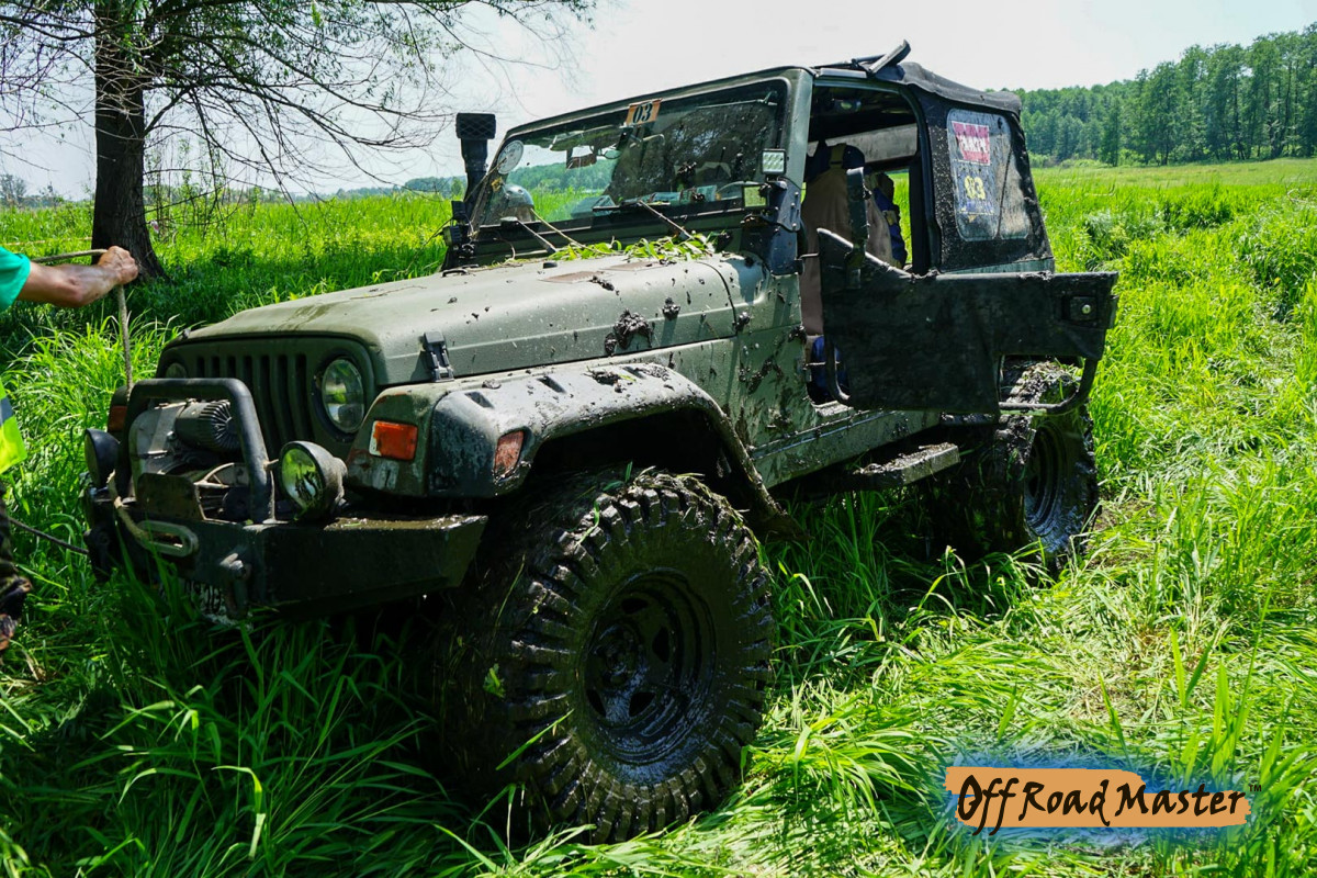 104118057 804666280364004 2794708797543117845 O