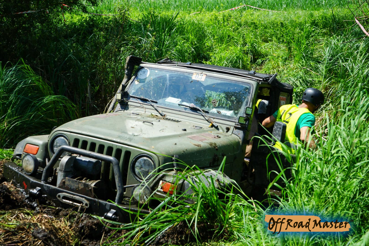 82358602 804665743697391 859016094943188776 O