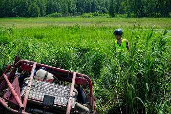 104114565 804666870363945 9175380209834694465 O 104114565 804666870363945 9175380209834694465 O