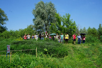 104169389 804666223697343 6970899195942641841 O