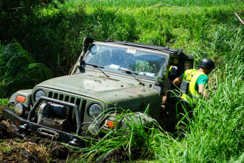 82358602 804665743697391 859016094943188776 O