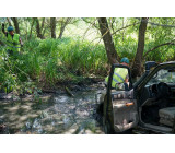 103986353 804666400363992 6523419461161305159 O