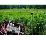 104114565 804666870363945 9175380209834694465 O