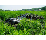 103960204 804665990364033 2063657696754357234 O