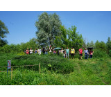 104169389 804666223697343 6970899195942641841 O