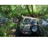 83689738 804666213697344 6022013861328850231 O