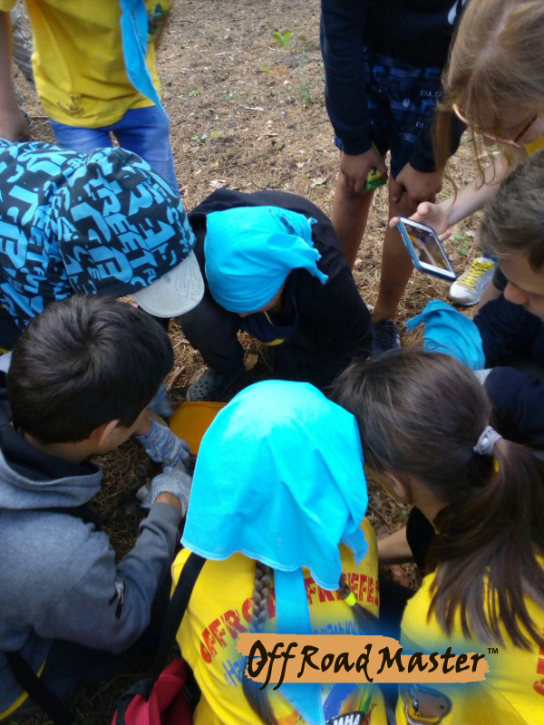 изображение viber 2020 08 03 08 03 35