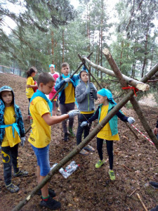 изображение_viber_2020-08-03_08-25-50.jpg изображение_viber_2020-08-03_08-25-50.jpg