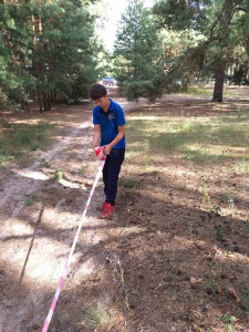 изображение viber 2020 07 27 15 29 514 изображение viber 2020 07 27 15 29 514