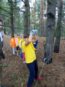 изображение viber 2020 08 03 08 26 44 изображение viber 2020 08 03 08 26 44