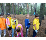 изображение viber 2020 08 03 08 27 19