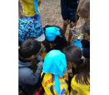 изображение viber 2020 08 03 08 03 35