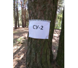 изображение viber 2020 07 27 15 29 535