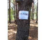 изображение viber 2020 07 27 15 29 534