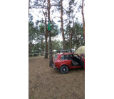 изображение viber 2020 08 03 08 33 16