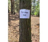 изображение viber 2020 07 27 15 29 532