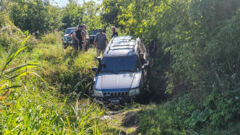 20200912 125354 20200912 125354