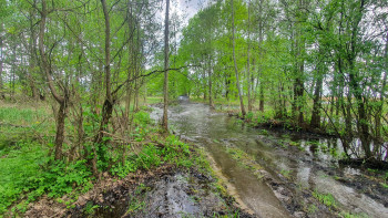 20210515 144640 20210515 144640