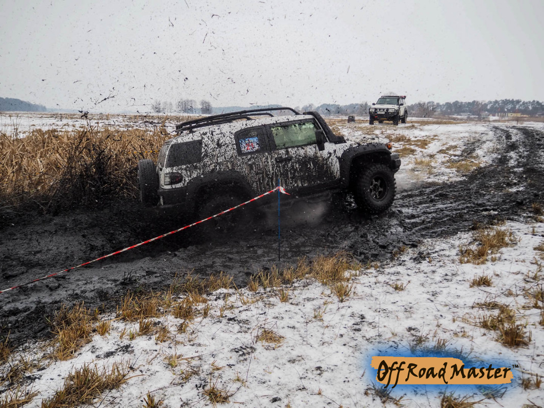 Метелица 2022