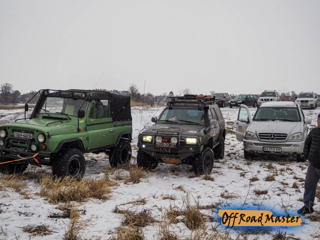 Метелица 2022