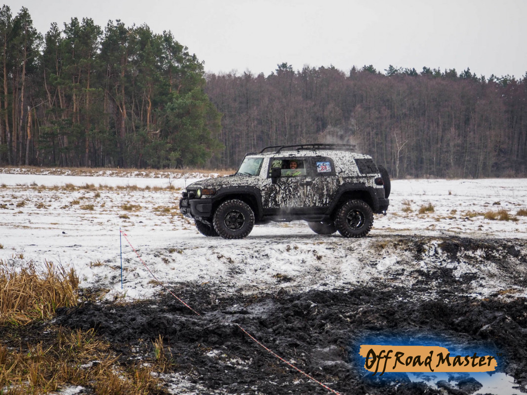 Метелица 2022