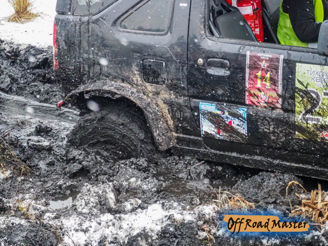 Метелица 2022