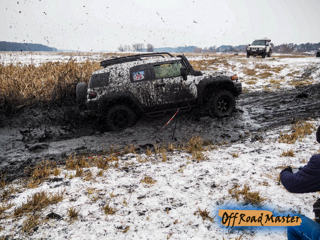 Метелица 2022