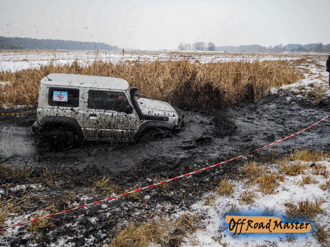 Метелица 2022