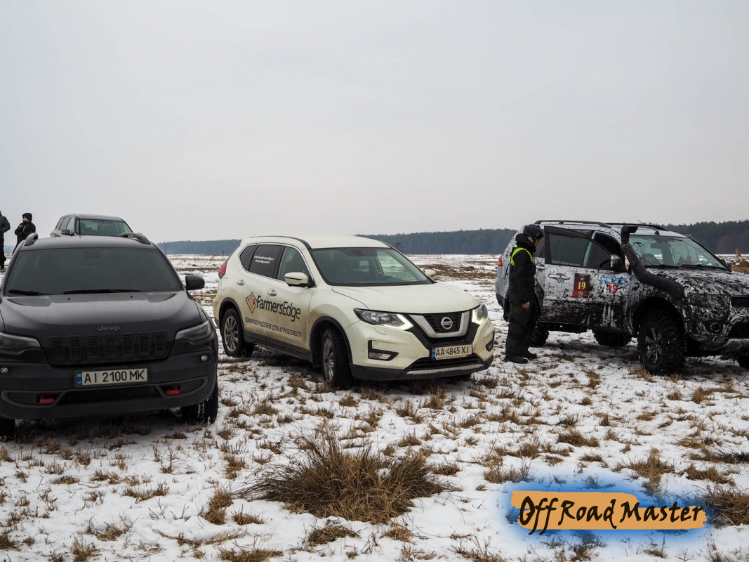 Метелица 2022