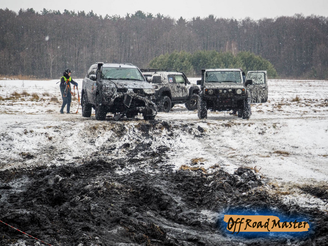 Метелица 2022