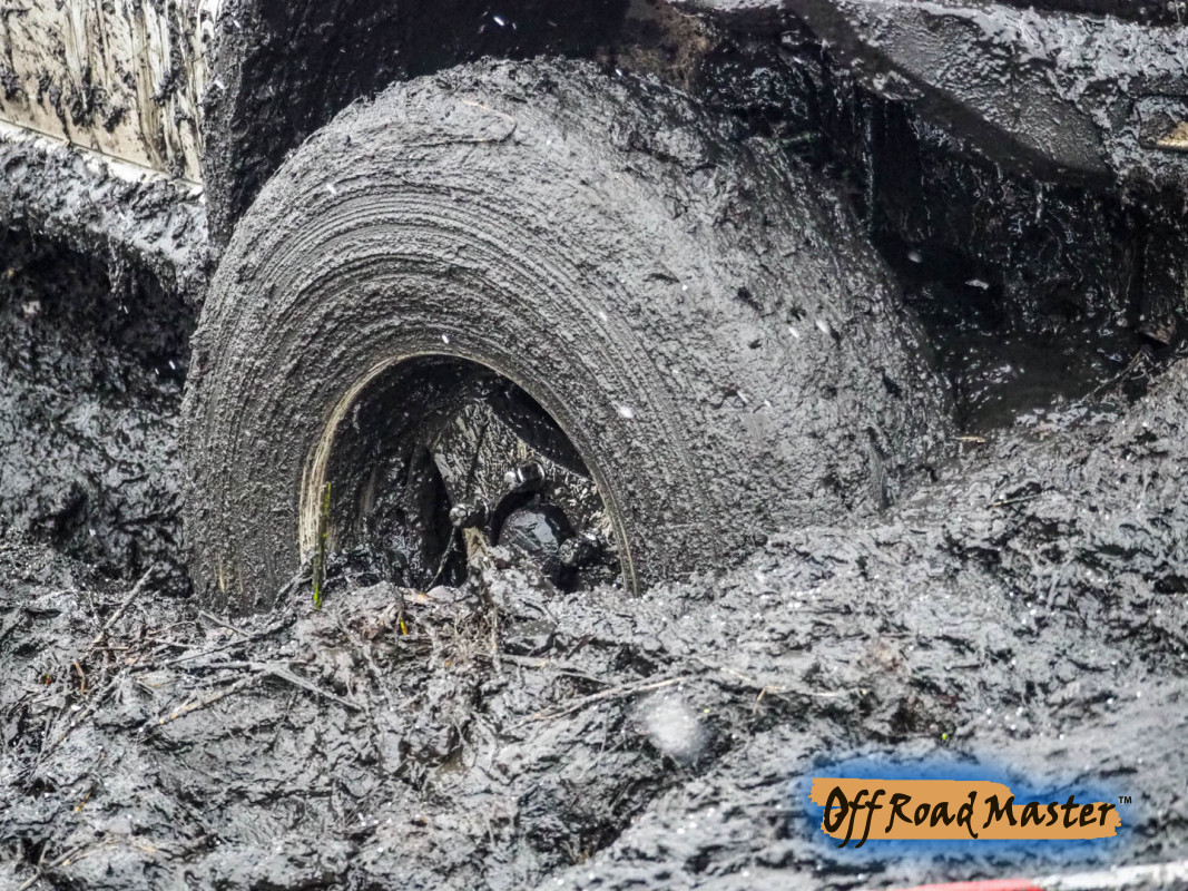 Метелица 2022